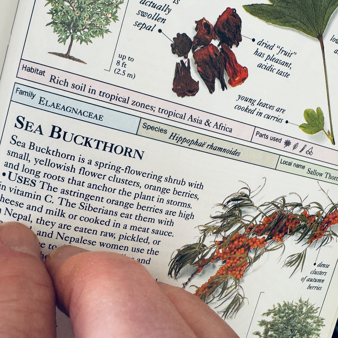 What I See When I Read a Label