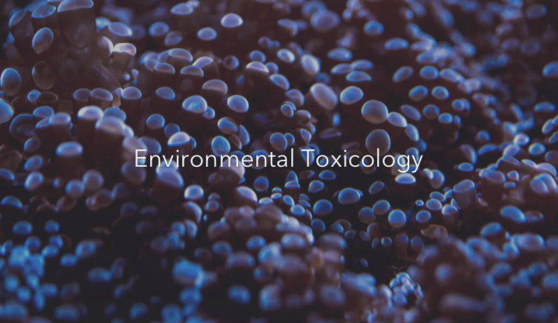 The Science Behind Clean Bodycare: Why Environmental Expertise Changes Everything
